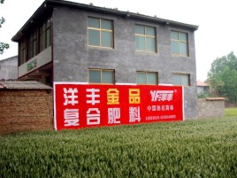汝城如何让墙体广告展现最大化效果