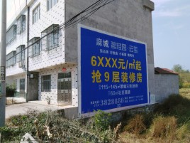 汝城墙体广告质量分析