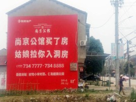 汝城墙体广告在乡镇、农村市场的媒体优势