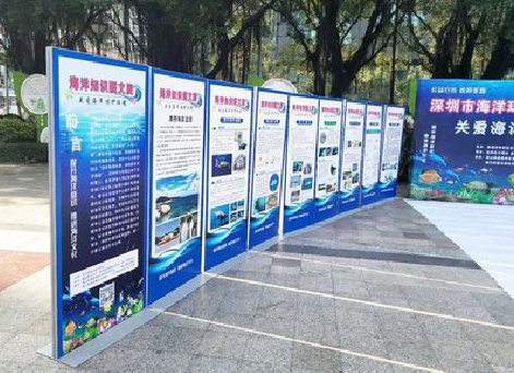 汝城KT板的种类和知识。